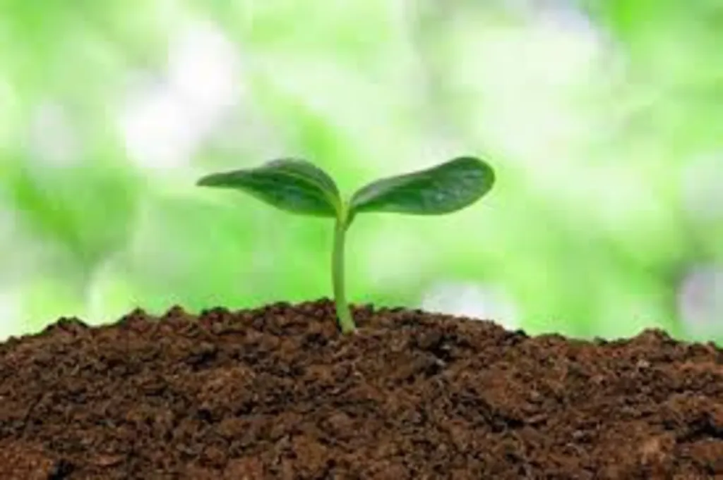 Soil – The Foundation of Life with John Martin