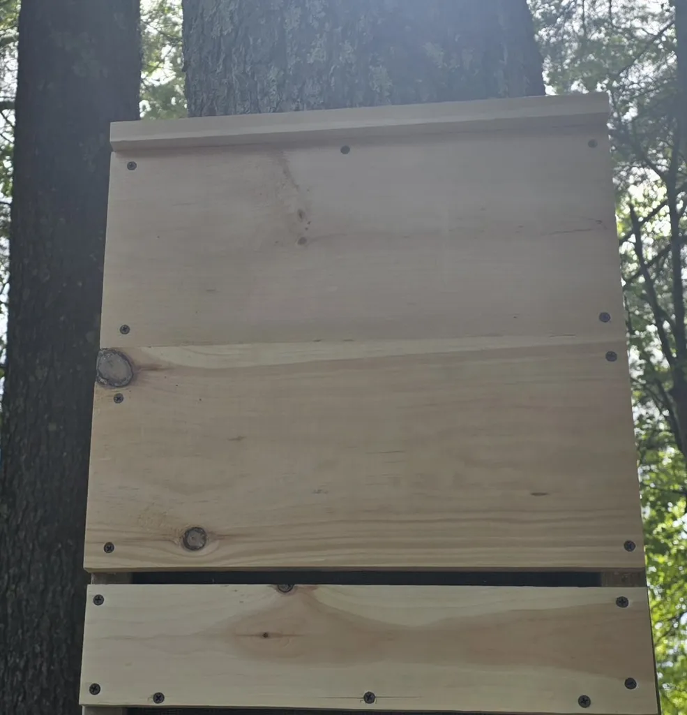 Beginner Builder’s Bat House