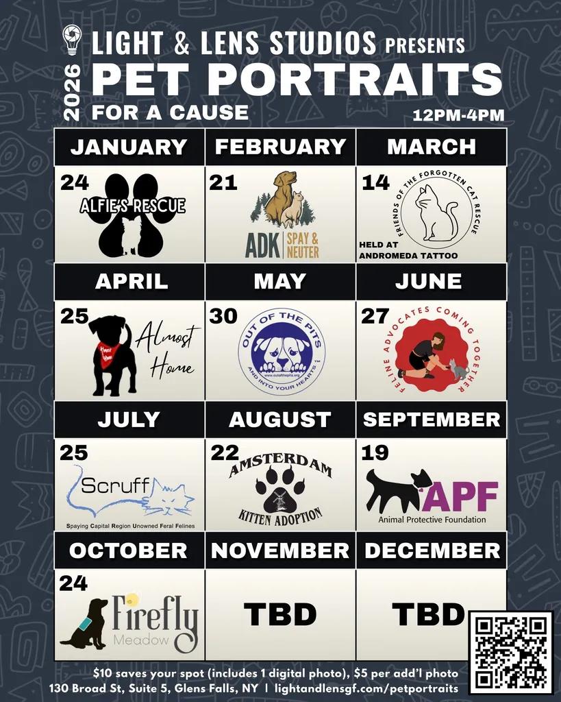 Pet Portraits For A Cause | Benefiting Amsterdam Kitties
