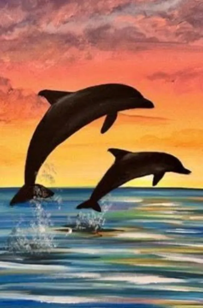 Dolphin Jumps – 20% Off