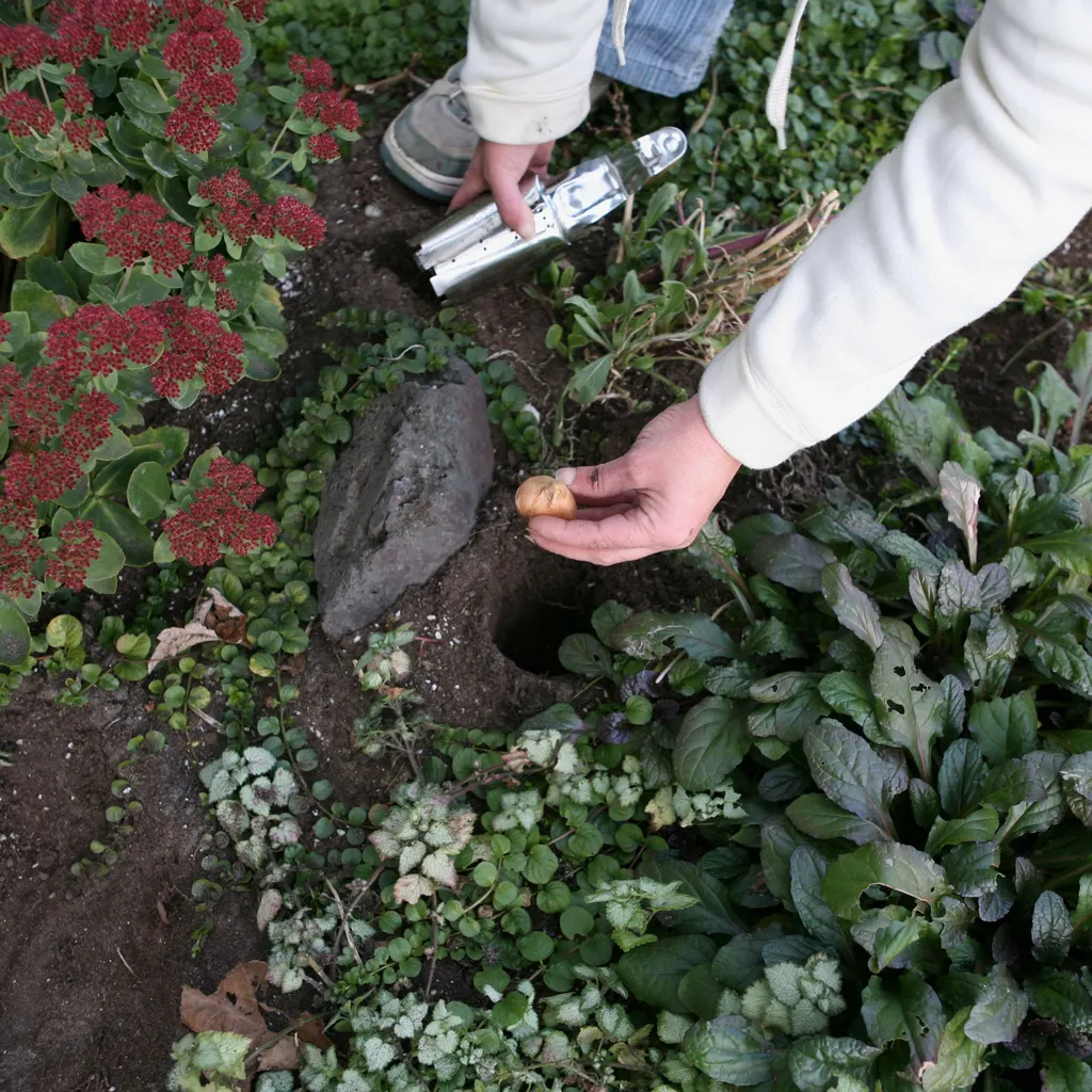 The Great Tuck-in: A Fall Garden Class