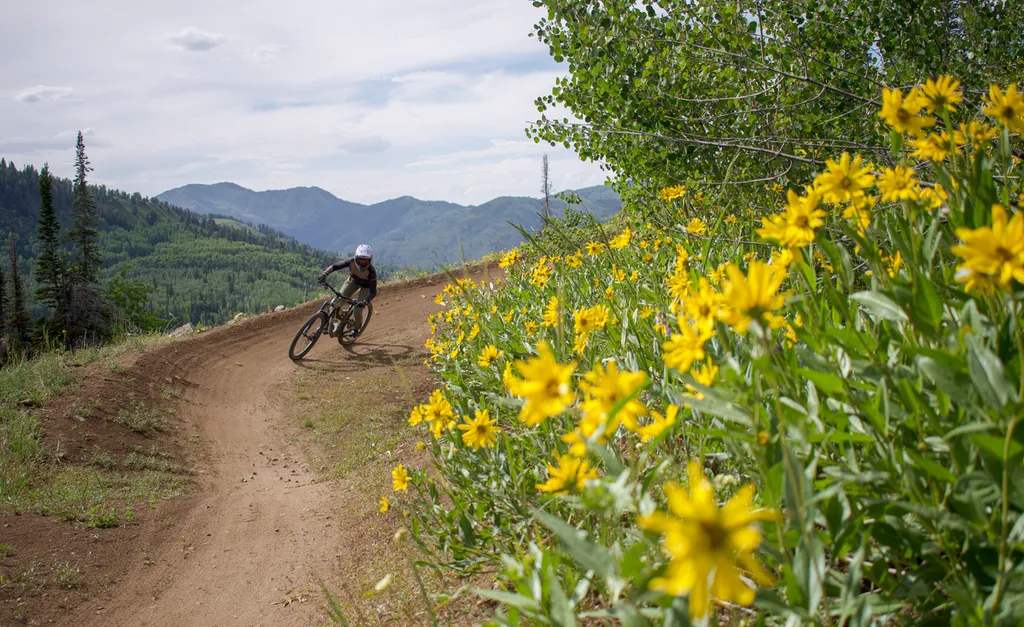 Women's Mountain Bike Ride Night