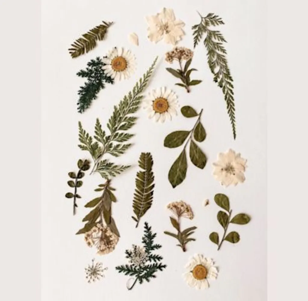 Pressed Flower Collage Workshop