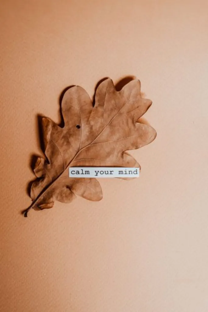 DIY Comfort Kits: A Mental Health Toolkit