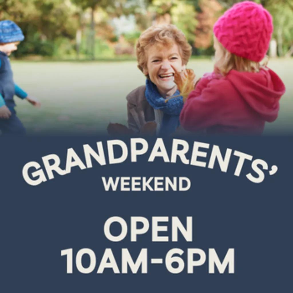 Fall Festival & Grandparents’ Weekend