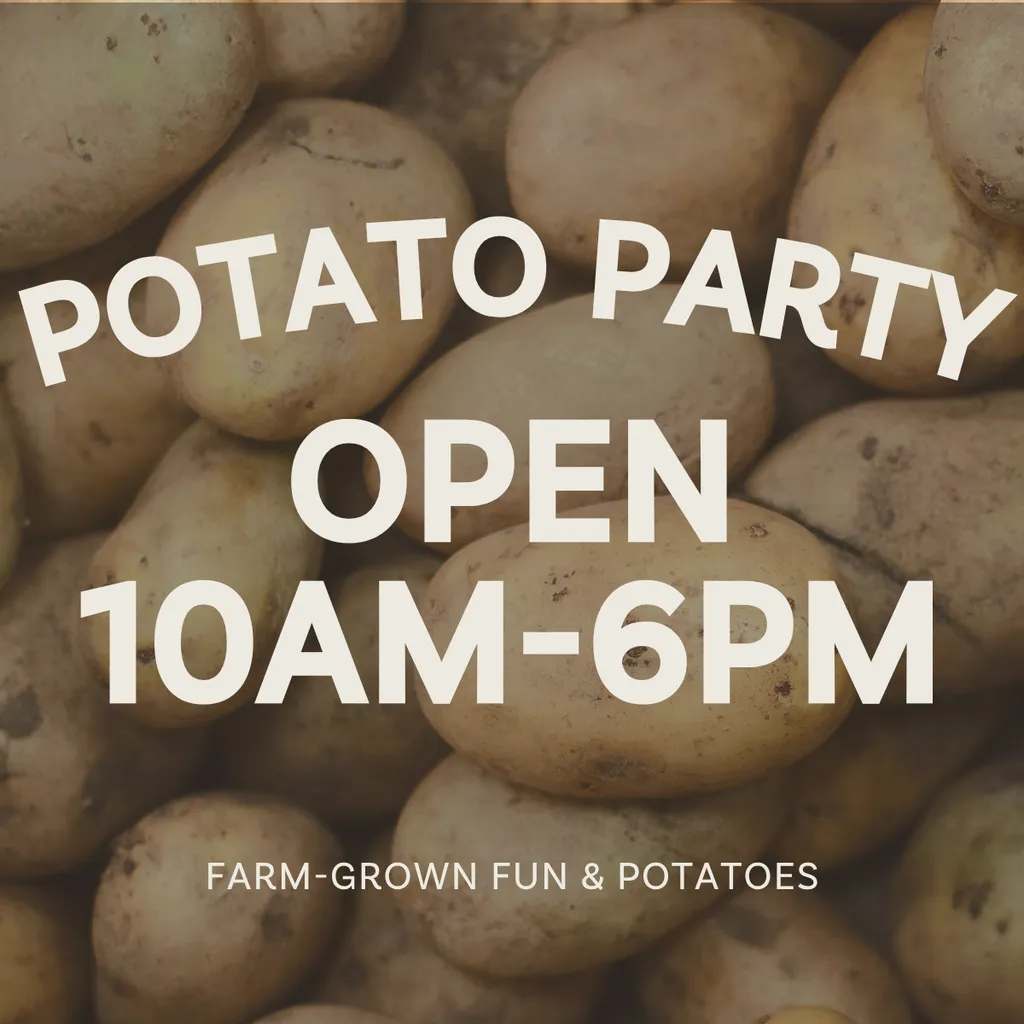 Fall Festival & Potato Party