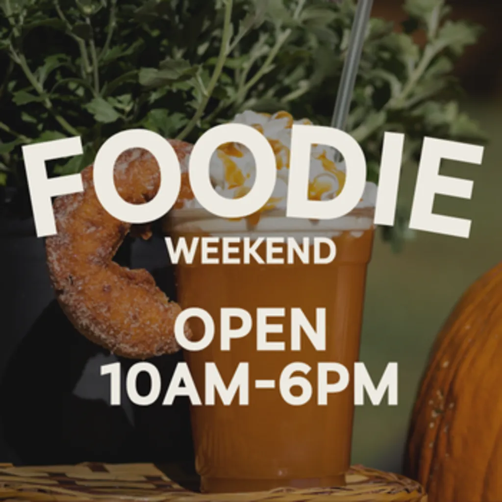 Foodie Day at the Fall Festival