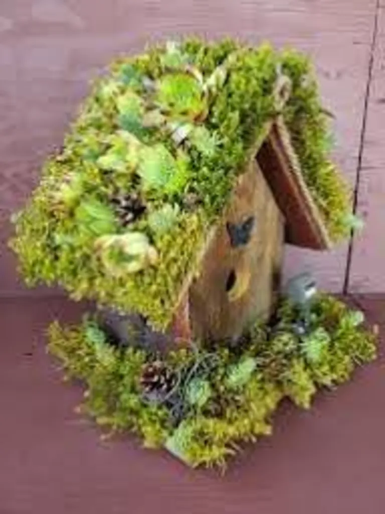 DIY Enchanted Moss Birdhouse $35.00