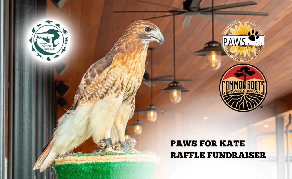 Paws For Kate Raffle Fundraiser
