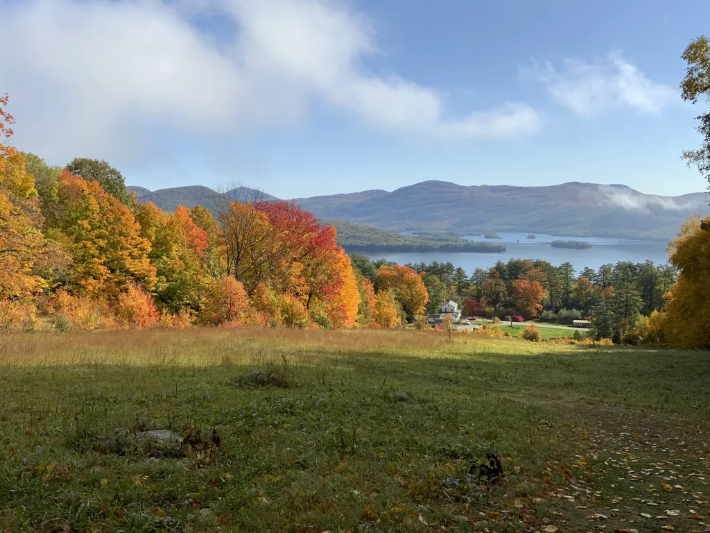 Naturalist-led Fall Foliage Hike