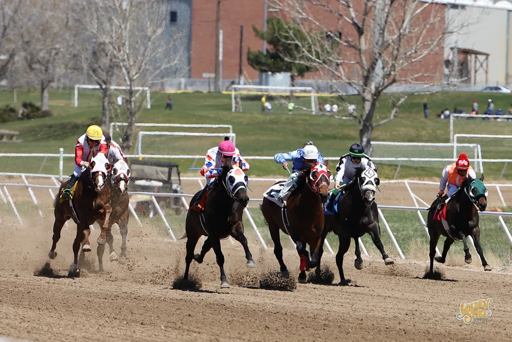 UQHRA Fall Races