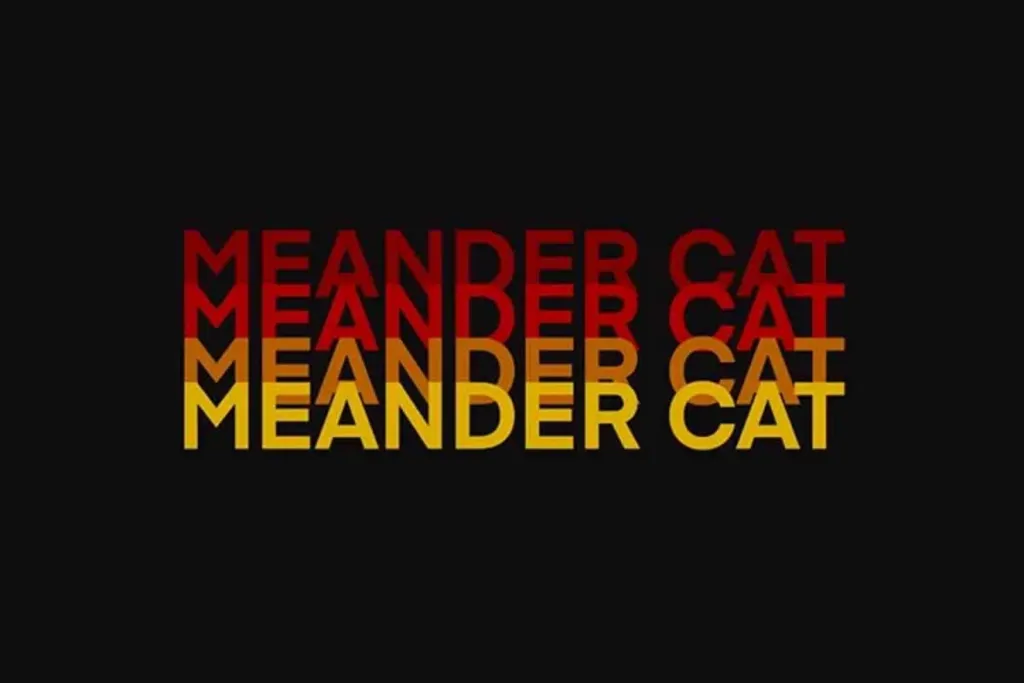 Meander Cat