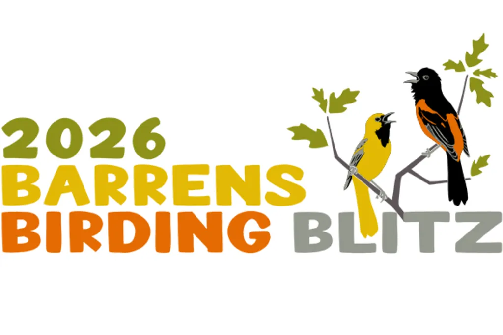 Barrens Birding Blitz
