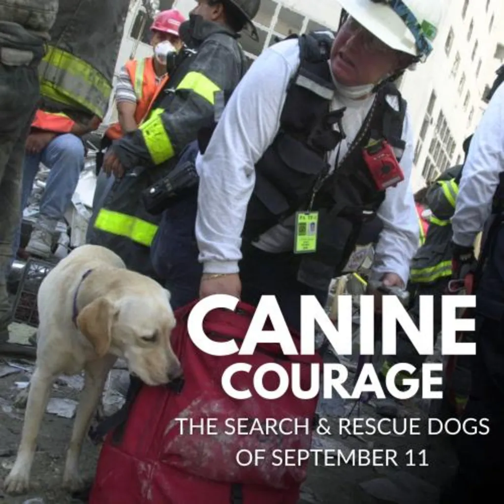 Canine Courage: The Search and Rescue Dogs of September 11