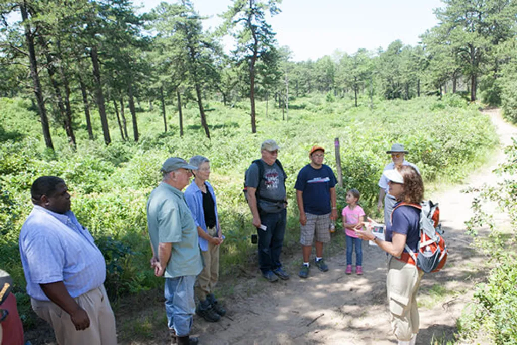 Discover the Pine Bush at Karner Barrens