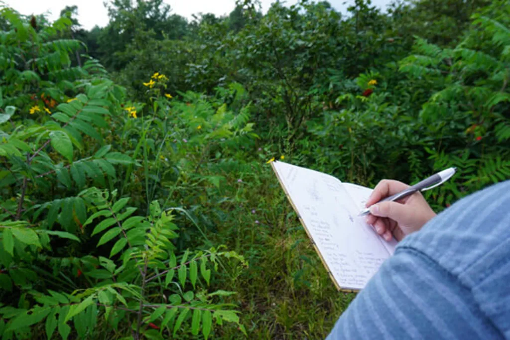 Nature Journaling - Let's Draw Birds!