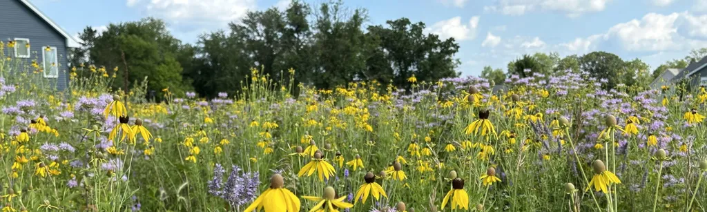 Climate Solutions Week Book Discussion – Nature’s Best Hope