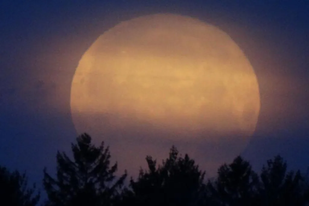 Almost Full Moon Hike