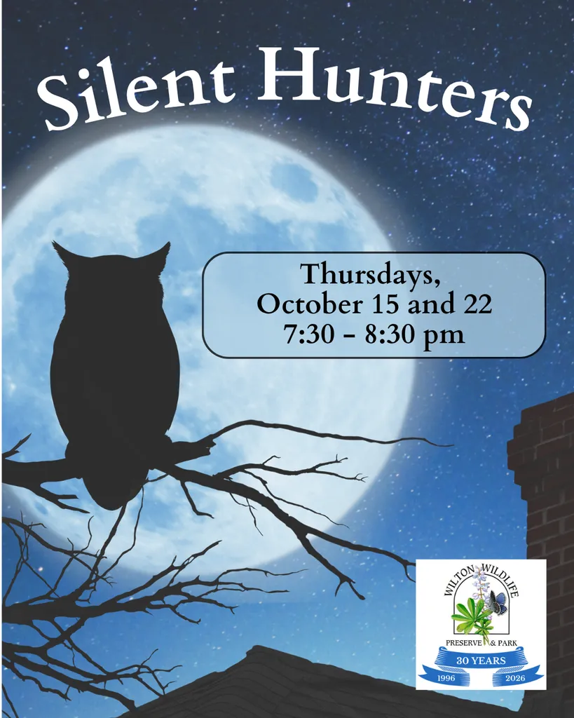 Silent Hunters Walk