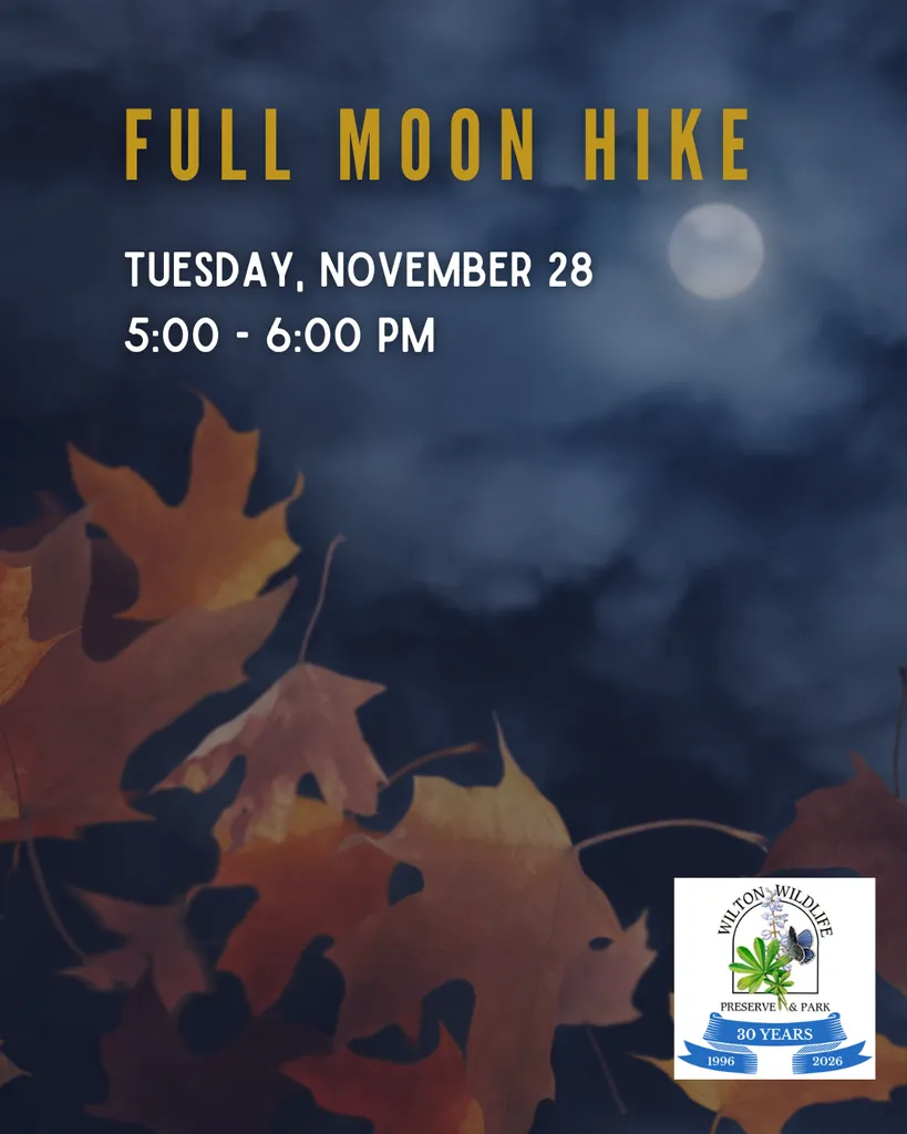 Full Moon Hike