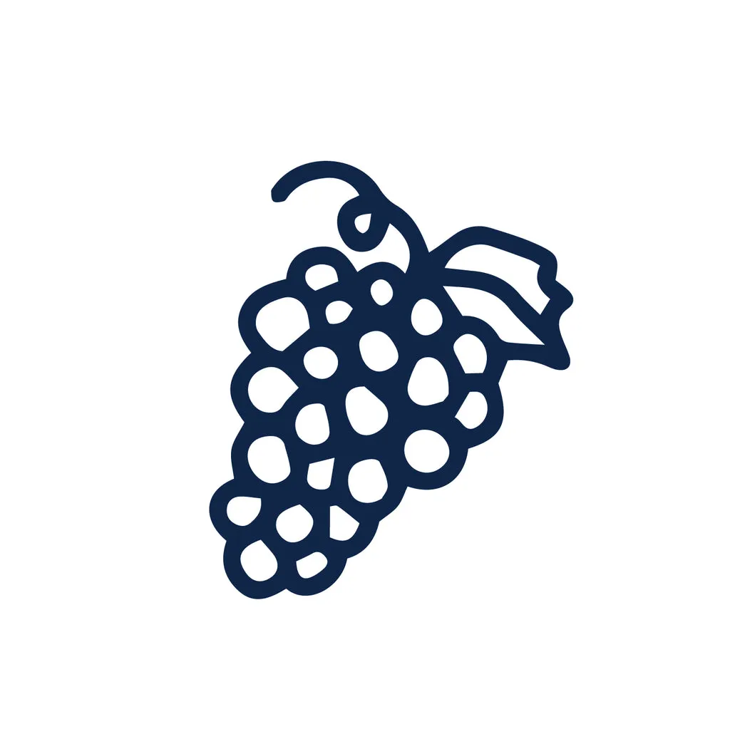 Wine Class 9/17: Volcanic Wines
