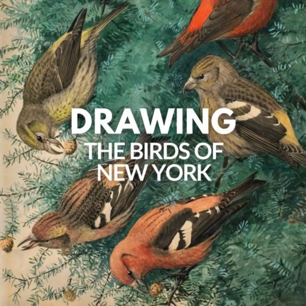 Drawing the Birds of New York: A Fuertes Scavenger Hunt & Sketching Adventure