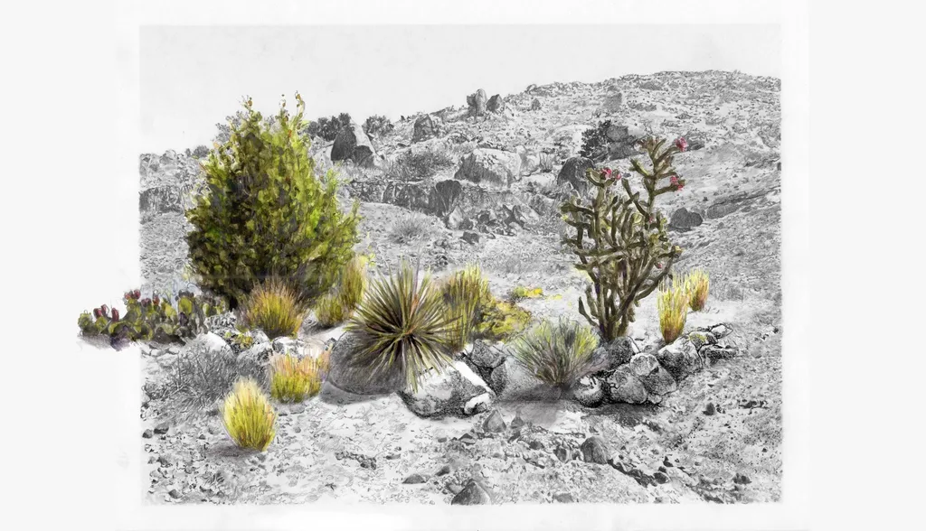 The Survival Kit Collective and 500 Dams: Artists Talk