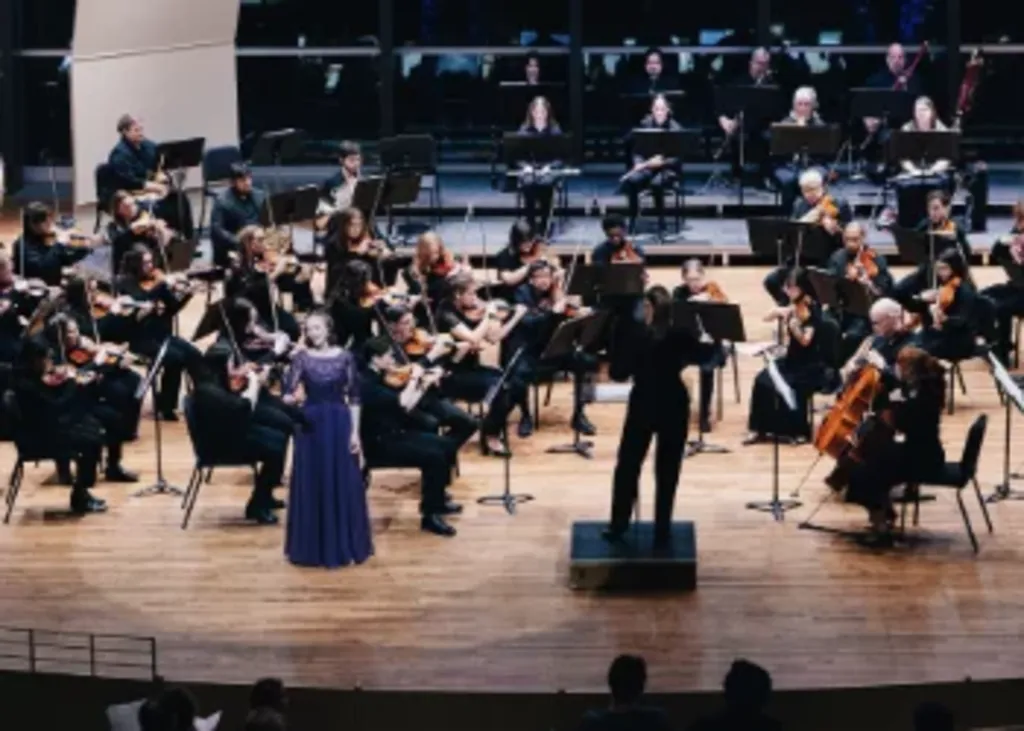 Skidmore Orchestra Solo Competition 2026