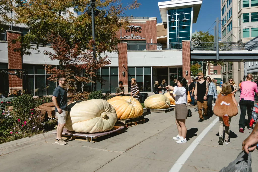 Giant Pumpkinpalooza
