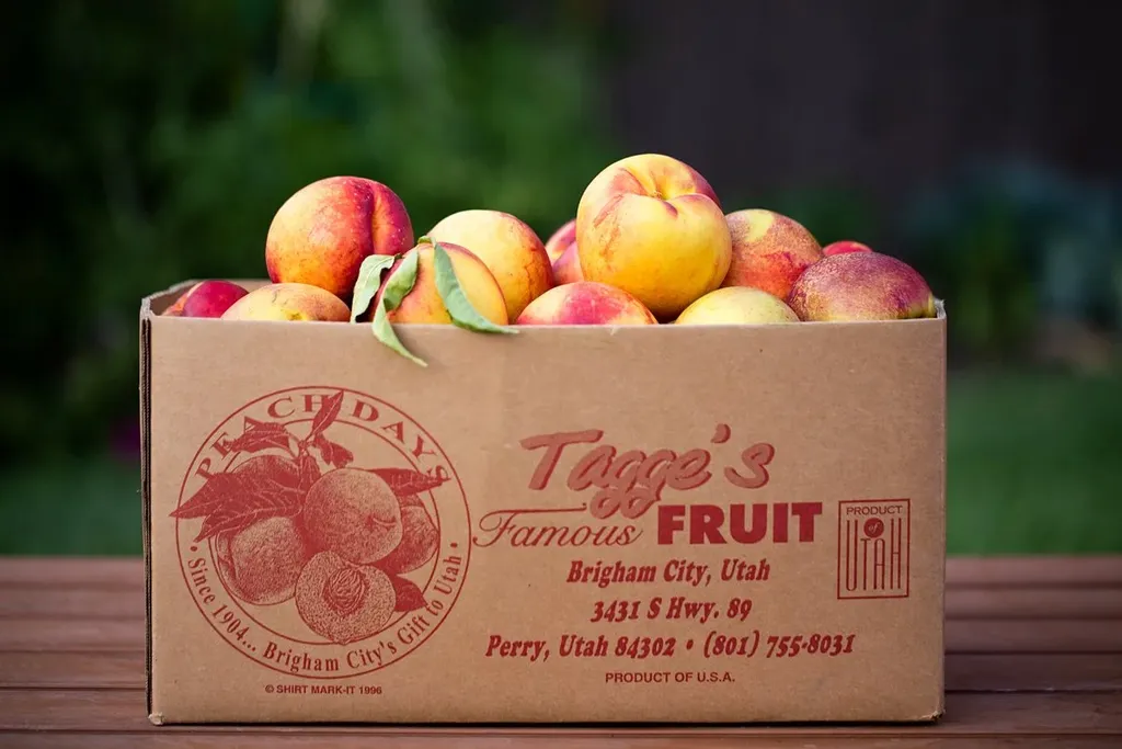 The Peach Pitstop ft. Tagge’s Fruit 🍑