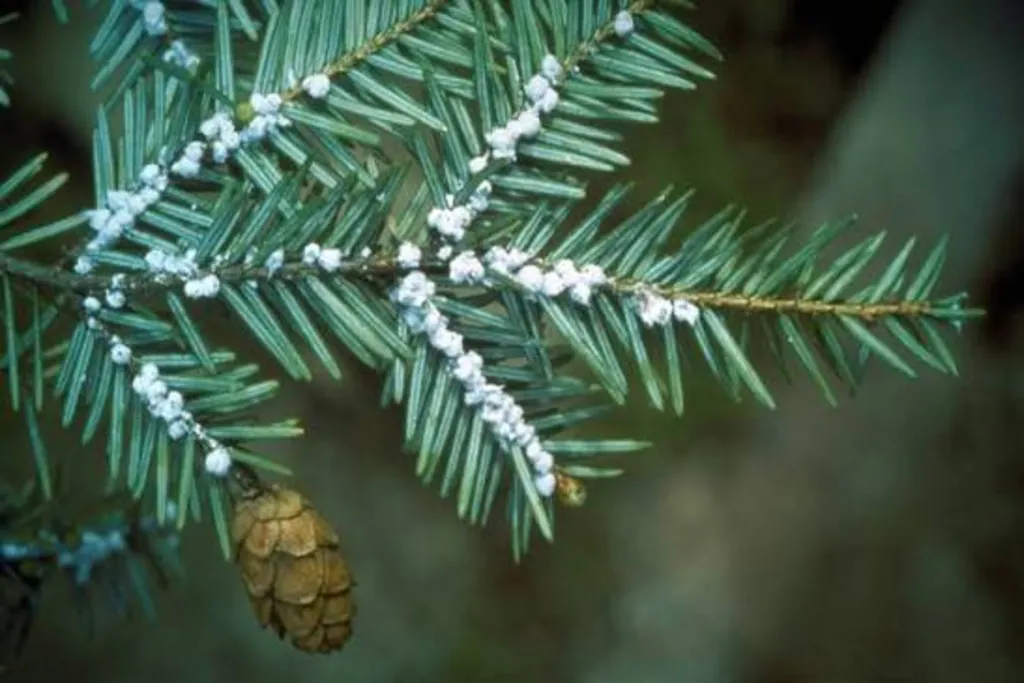 Tiny Pests, Big Problems