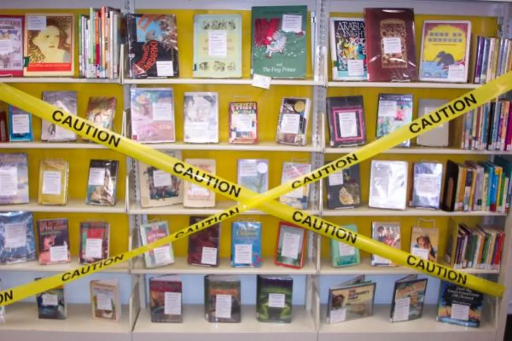 HYBRID: Banned Book Club