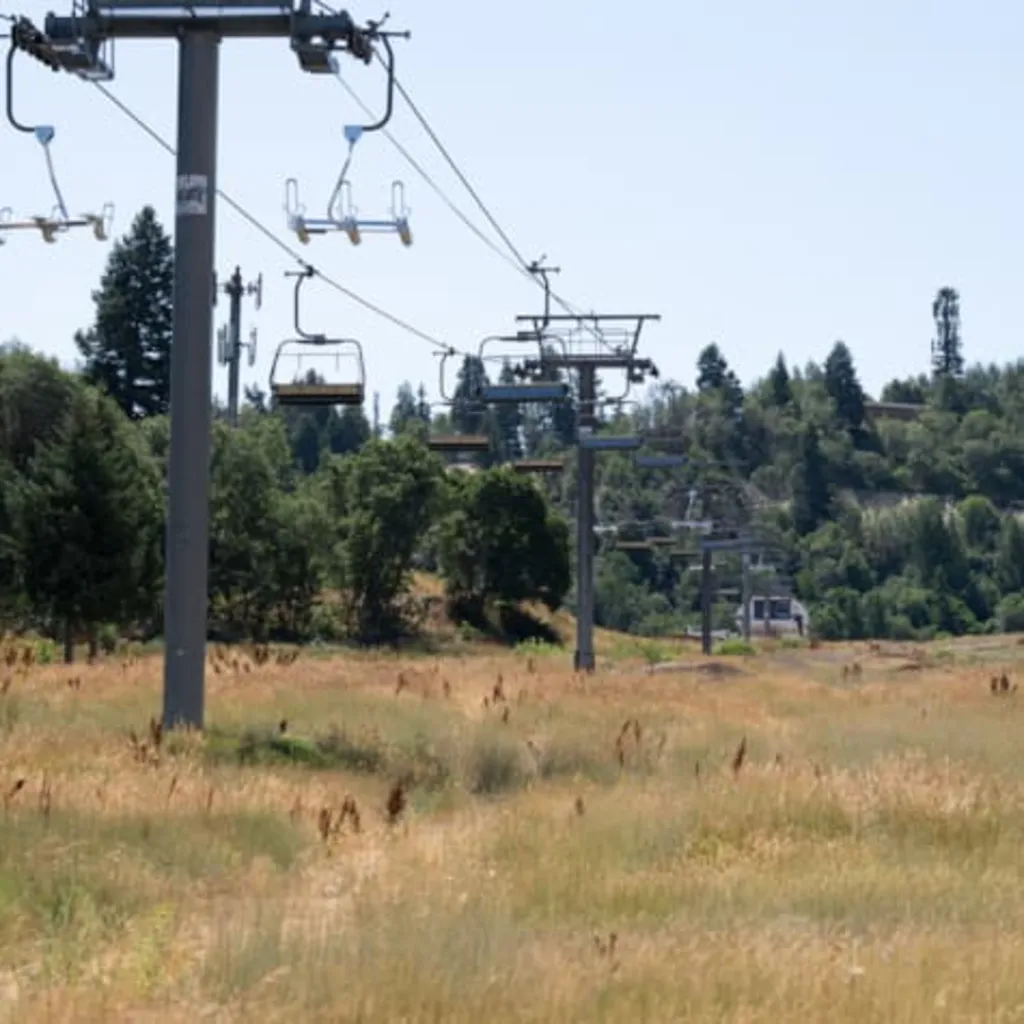 Basin Cup - Youth Downhill Race