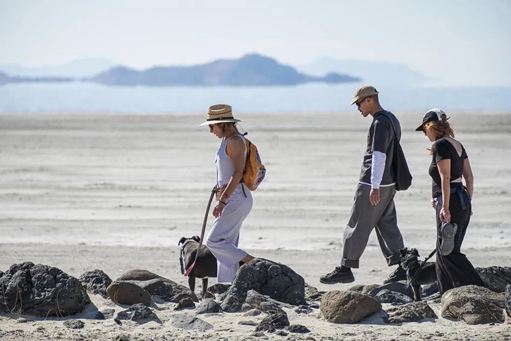 Spiral Jetty Community Meet-up