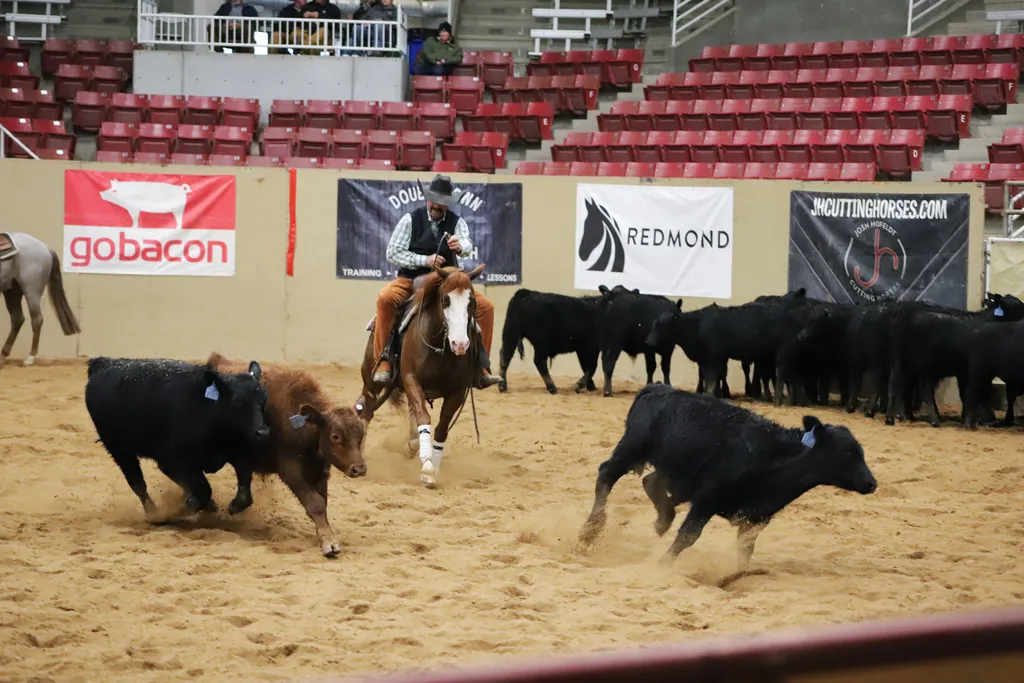 Utah Cutting Horse Show