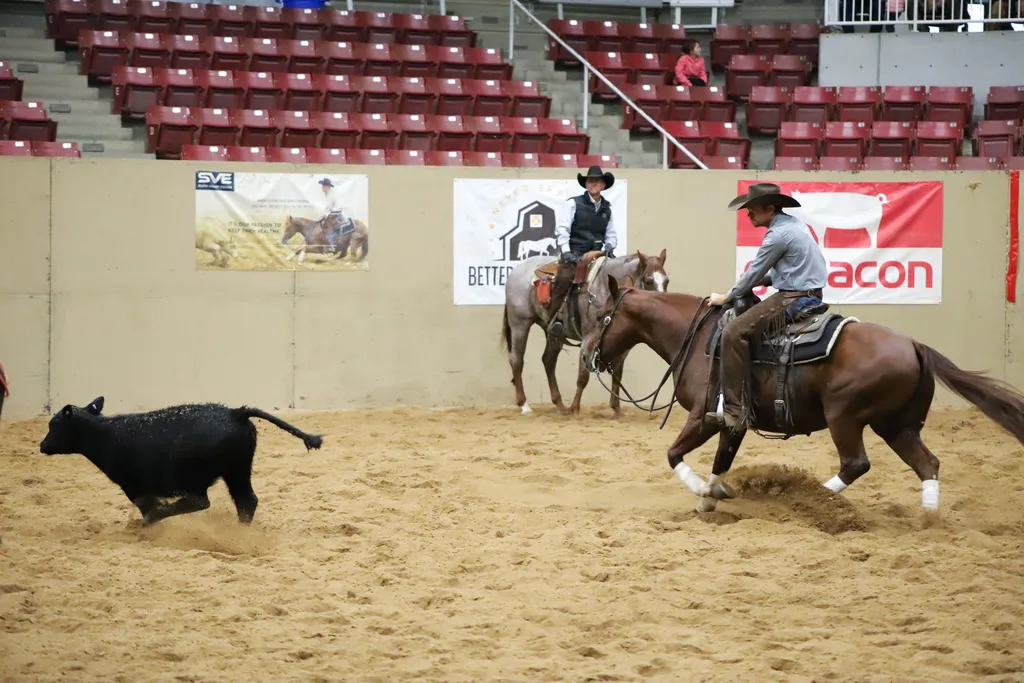 Utah Cutting Horse Show
