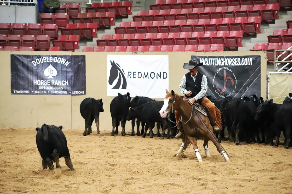 Utah Cutting Horse Show