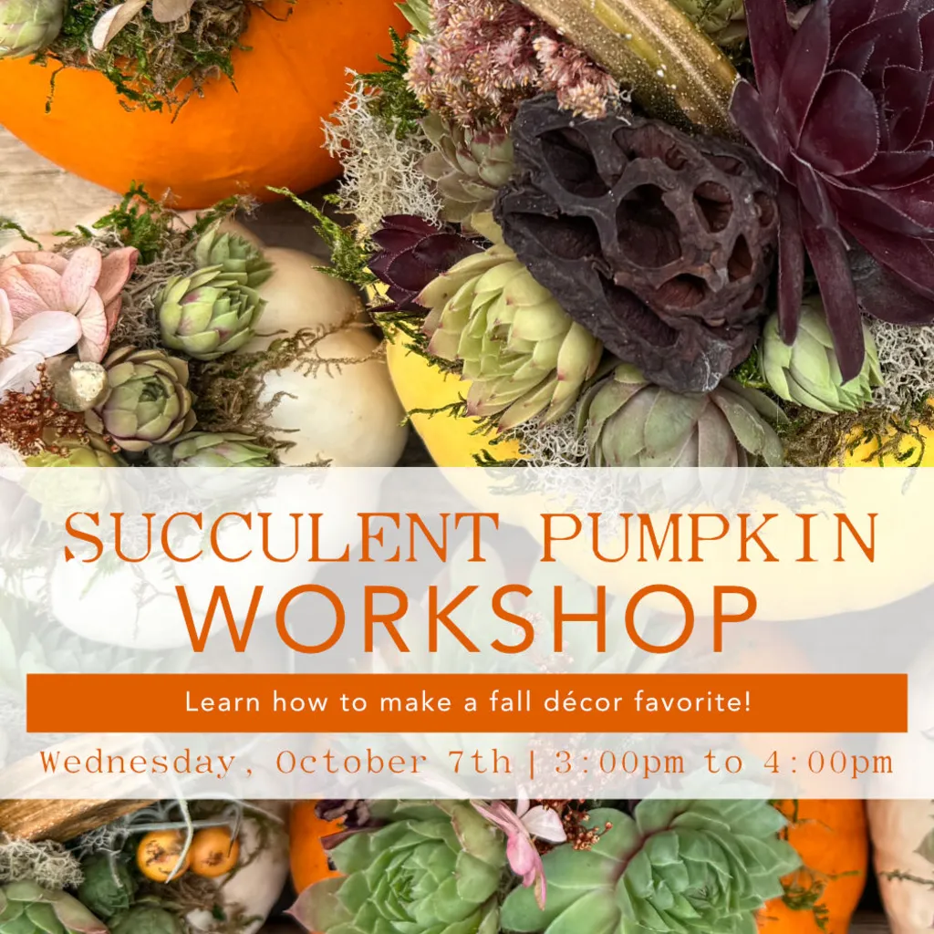 Succulent Pumpkin Workshop – October 7th | 3:00 PM to 4:00 PM