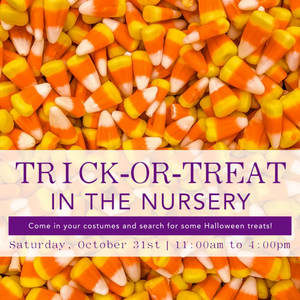 Trick-or-Treat at Faddegon’s Nursery – October 31st | 11:00 AM to 4:00 PM