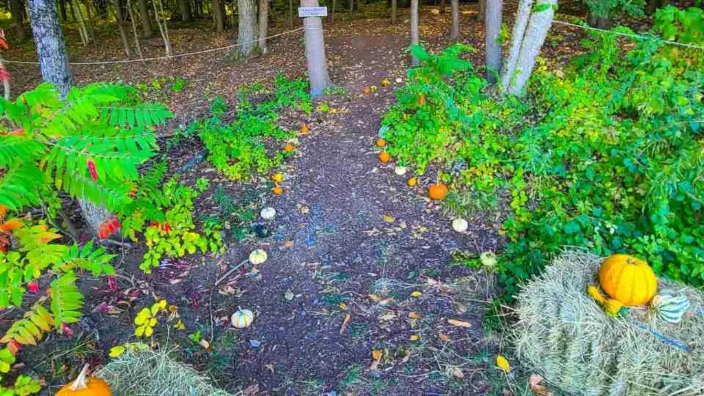 Gourdeous Hike – Family-Friendly Fall Event in Saratoga Springs
