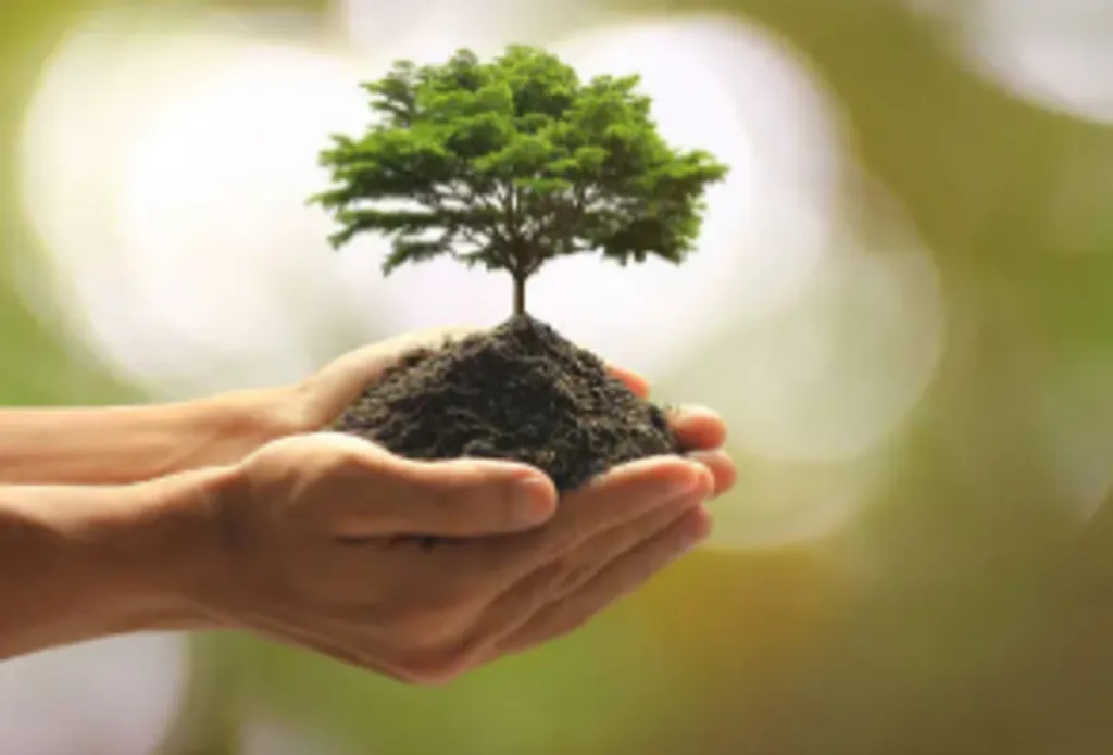 NHMU Family Seasonal Science: Eco Arbor Day