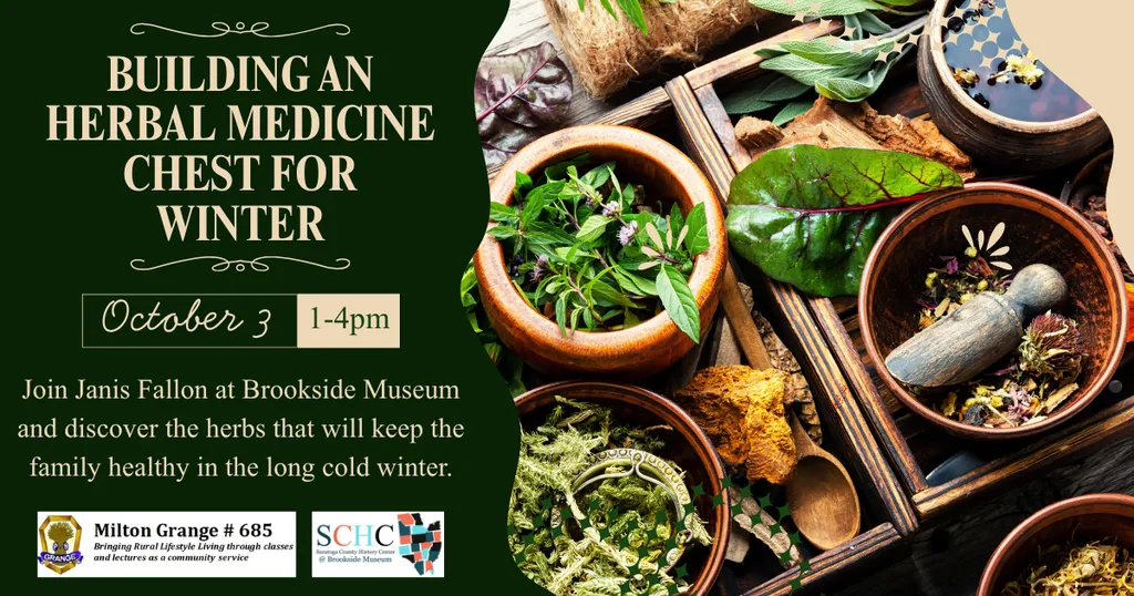 Building an Herbal Medicine Chest for Winter