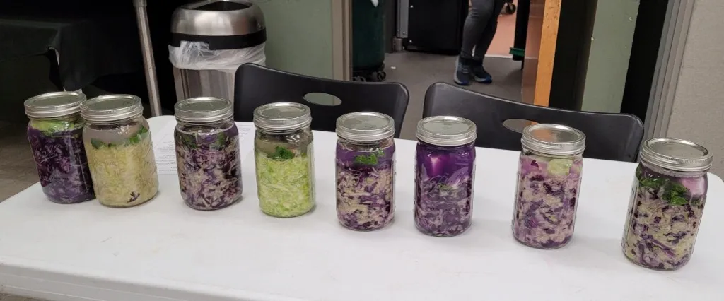 Lacto-Fermented Vegetables