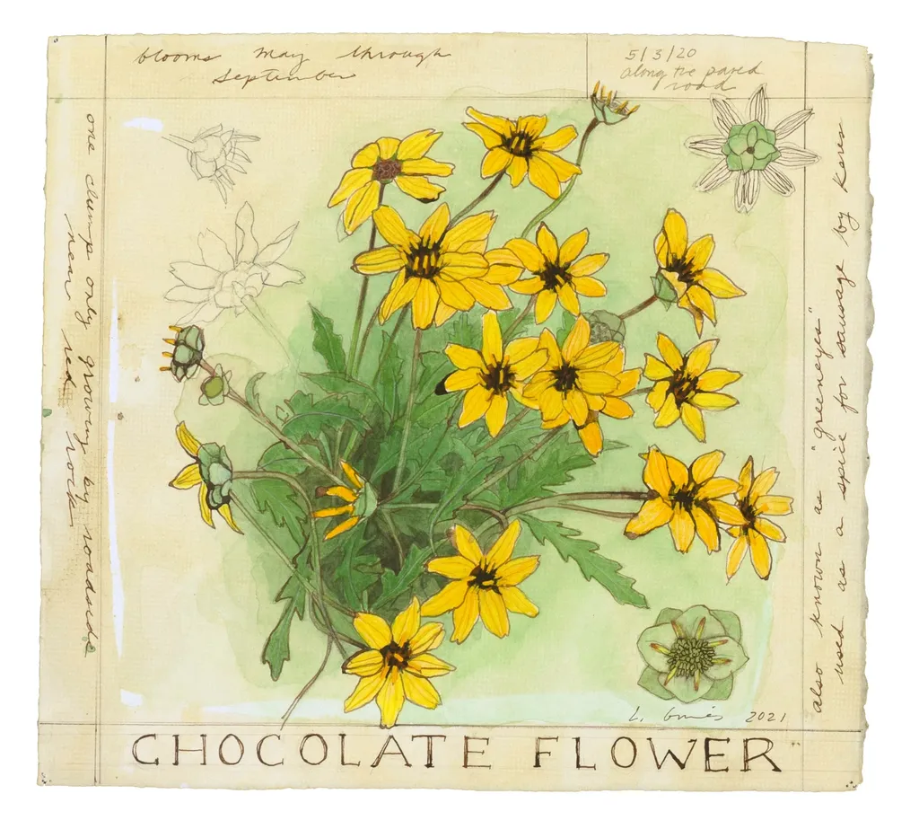 Flora Zine-Making