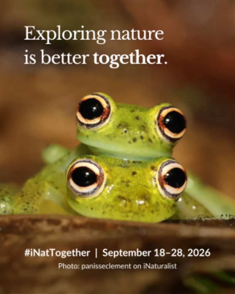 iNat Together: NHMU Nature Walk and Bioblitz