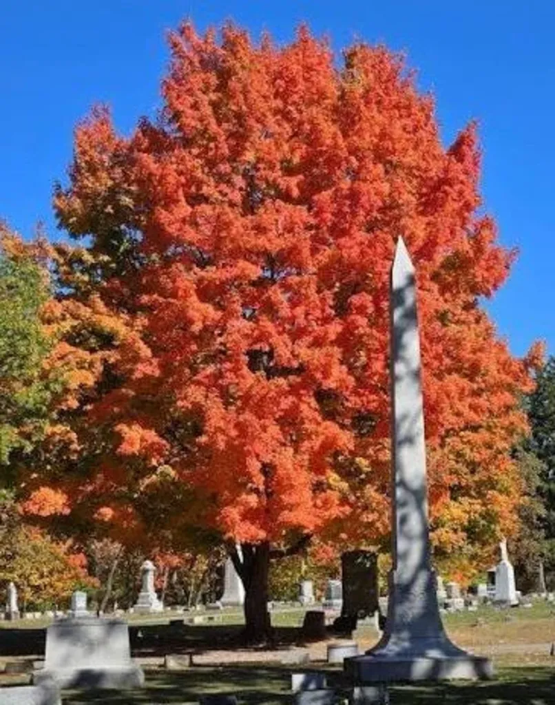 Autumn Foliage Tour