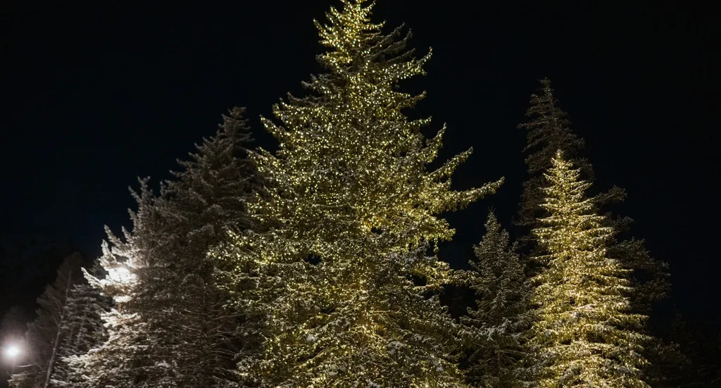 Tree Lighting Celebration