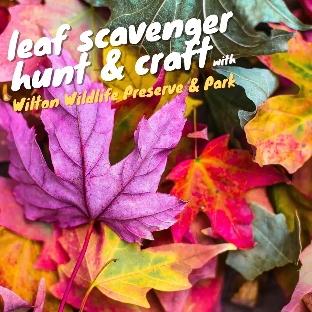 Leaf Scavenger Hunt and Indigenous Peoples' Day Talking Stick Craft In-Person