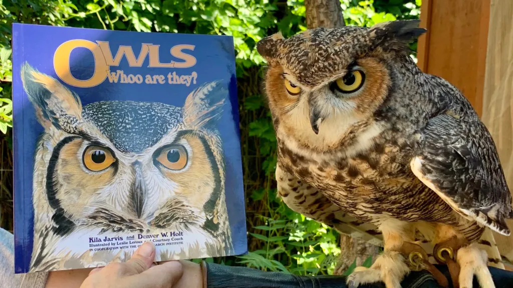 Reading with Raptors at Discovery Gateway