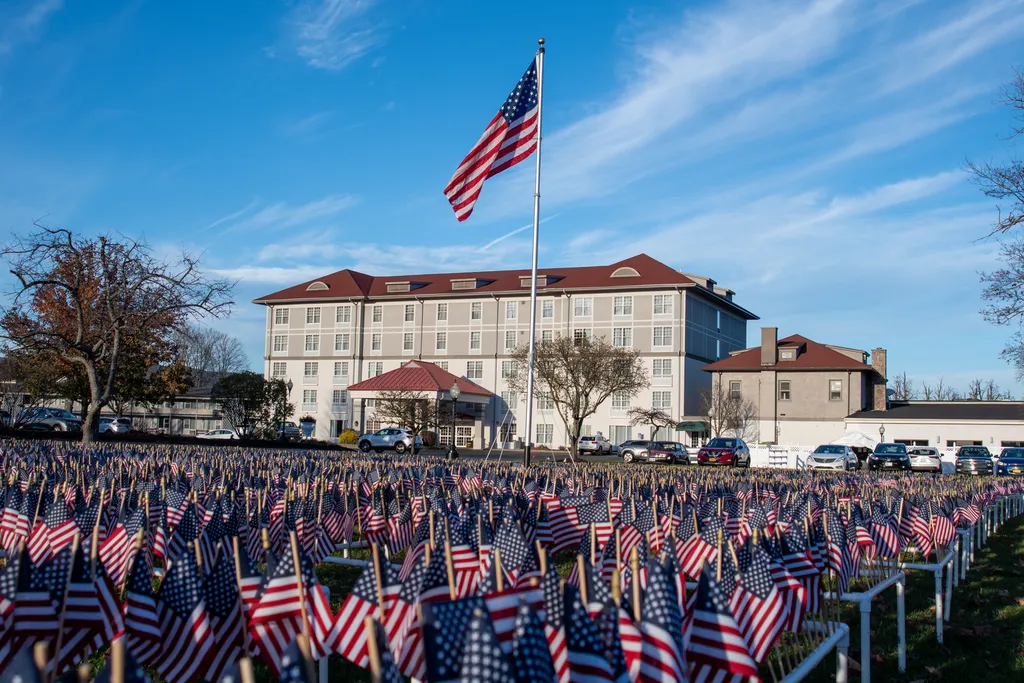 Field of Flags Display